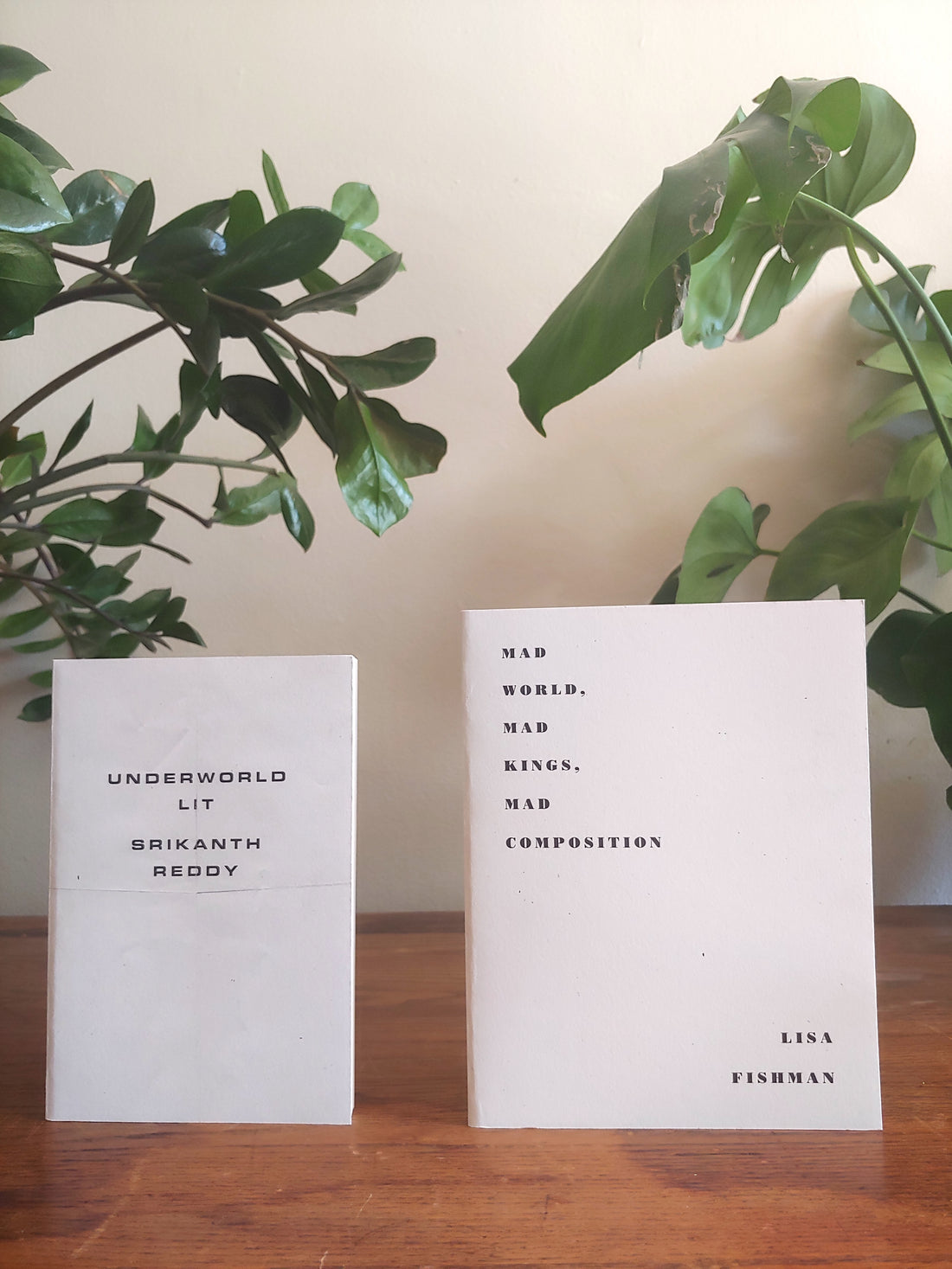 New Books from Srikanth Reddy and Lisa Fishman