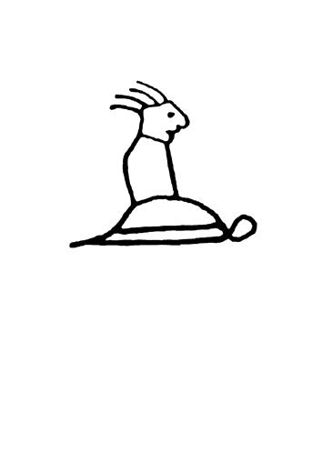 New Exercises Limited Edition Box Set