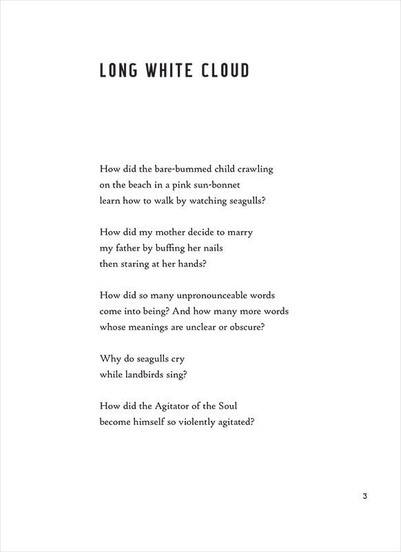 Dunce by Mary Ruefle