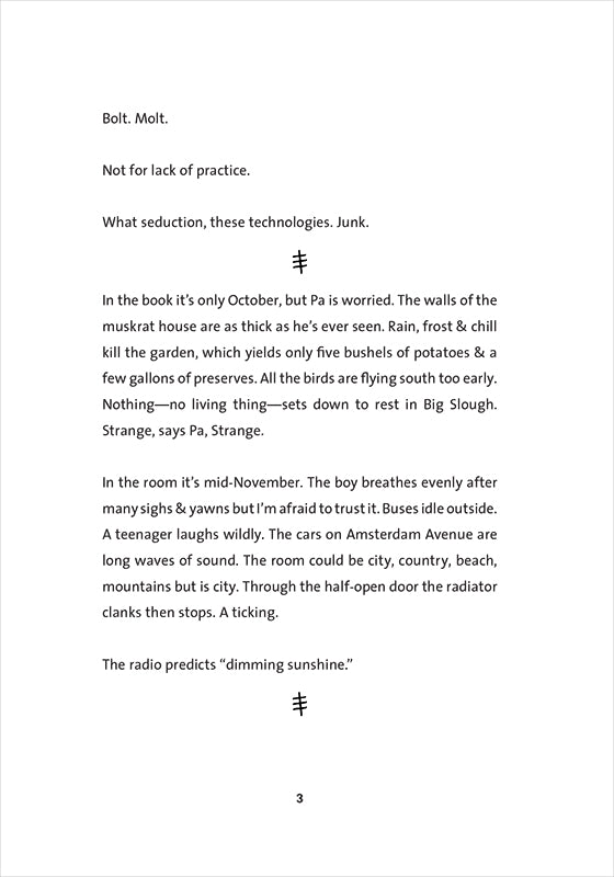 SoundMachine, by Rachel Zucker