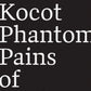 Phantom Pains of Madness, Noelle Kocot