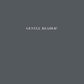 Gentle Reader! - Joshua Beckman, Anthony McCann, and Matthew Rohrer