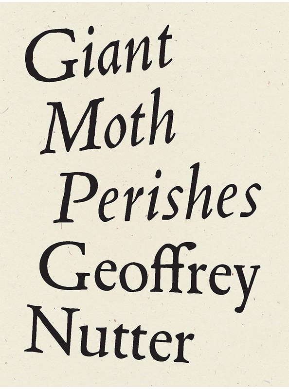 Giant Moth Perishes
